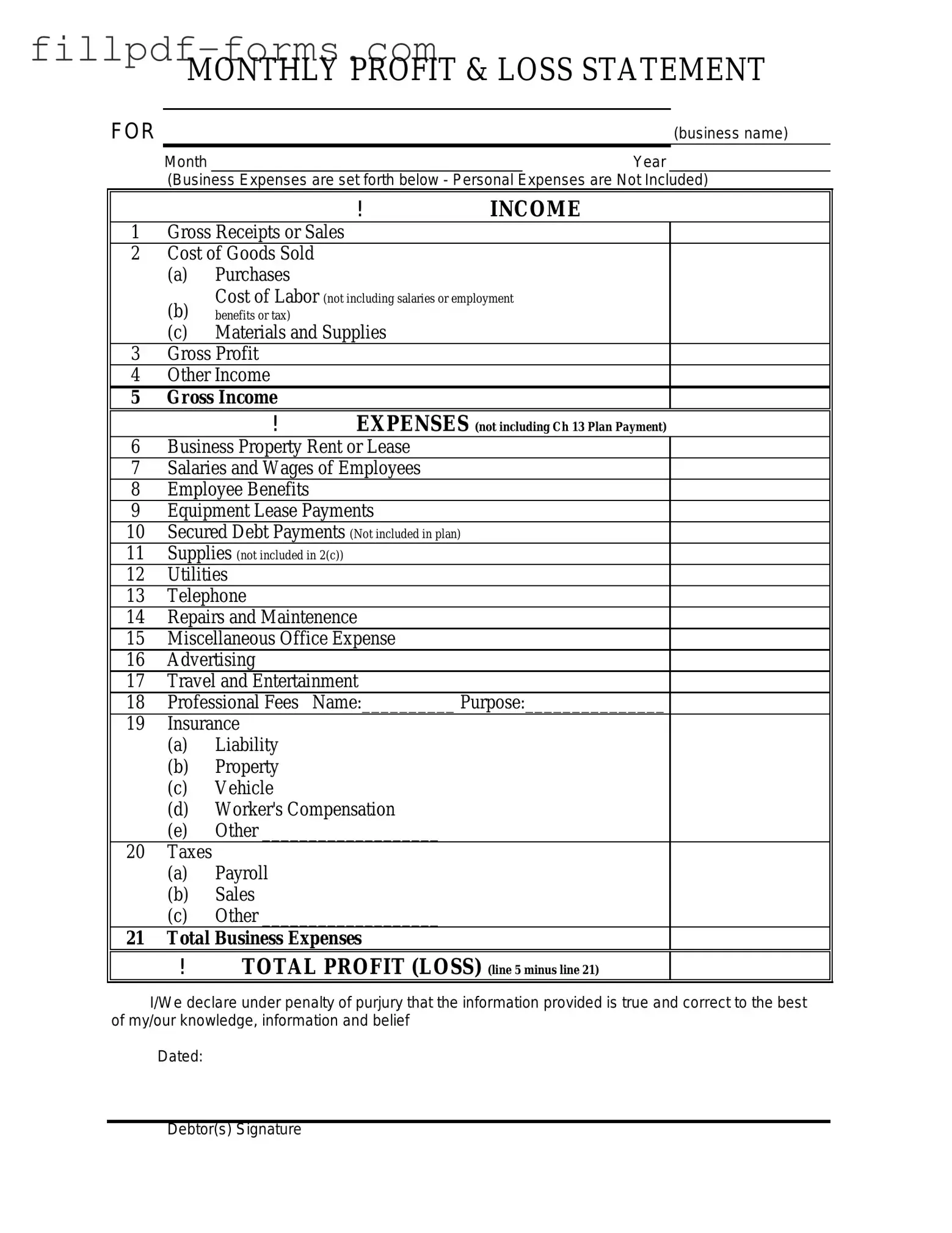 Profit And Loss PDF Form