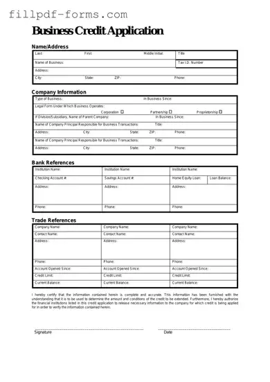 Business Credit Application PDF Form
