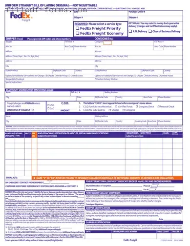 Fedex Bill Of Lading PDF Form
